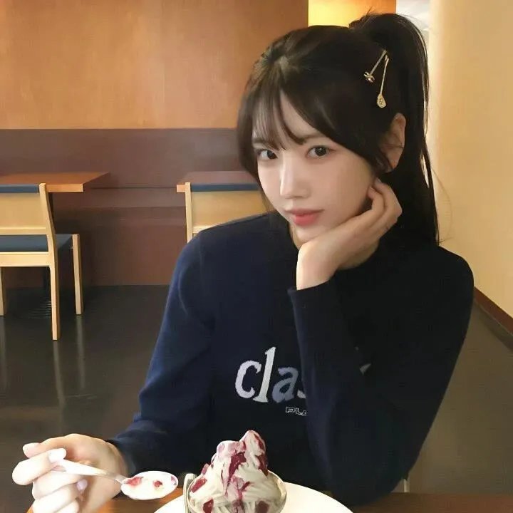 摄影师贝尔蒂与海豚零距离